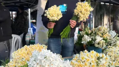 تركيا أزمير - عدسة الجمهور - وكالة ستيب نيوز