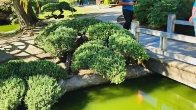 الولايات المتحدة - عدسة الجمهور - وكالة ستيب نيوز