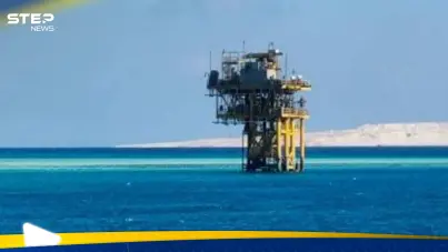 شركة مصرية كويتية