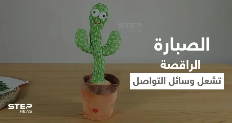 بالفيديو|| ثورة في عالم الألعاب.. الصبارة الراقصة تشعل وسائل التواصل في مصر وتحذيرات من مرض تسببه للأطفال: أخبار