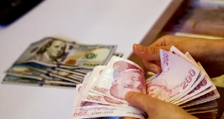 الليرة التركية تسجل مستوى تاريخياً منخفضاً أمام الدولار الأمريكي: أخبار