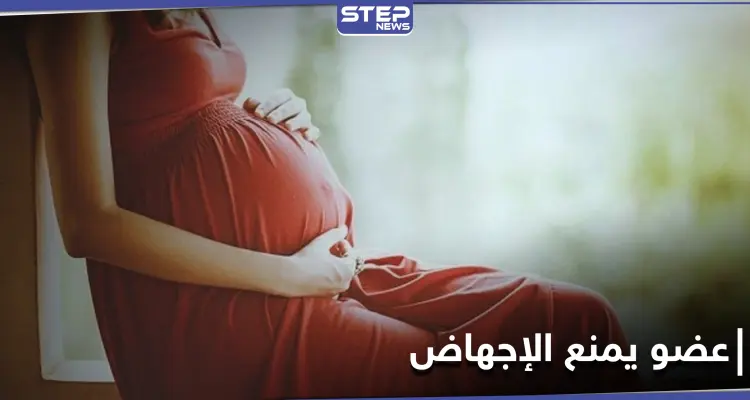 دراسة: عضو "منسي'' في الصدر قد يكون مفتاحاً لمنع الإجهاض لدى النساء الحوامل: أخبار