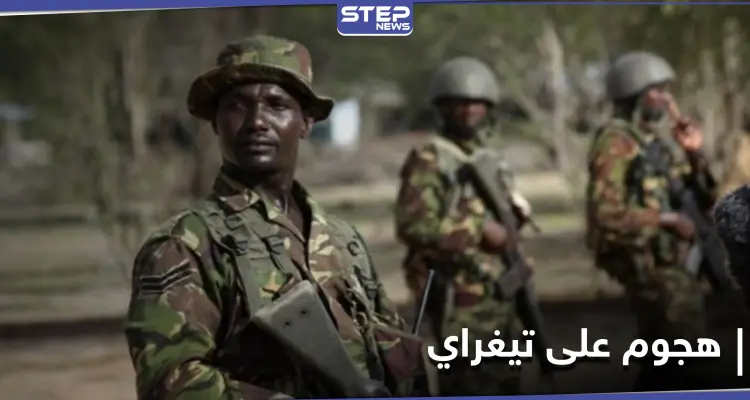 معركة الحسم بدأت.. الجيش الإثيوبي يتوعد بالسيطرة على عاصمة إقليم تيغراي: أخبار