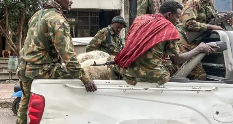 إثيوبيا تصنف جبهة تحرير تيغراي منظمة "إرهابية": أخبار