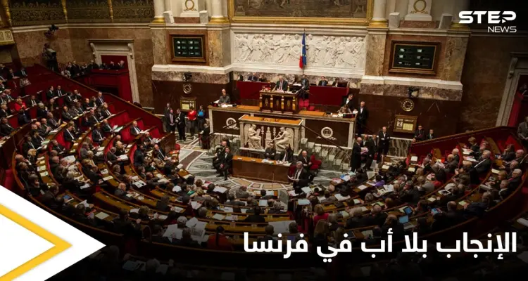 الإنجاب من دون أب.. فرنسا تقر قانوناً يسمح باستخدام المساعدة الطبية للنساء العازبات والمثليات: أخبار