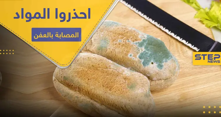 احذروا تناول المواد الغذائية المصابة بالعفن.. خبيرة تعذية تكشف الأسباب: أخبار