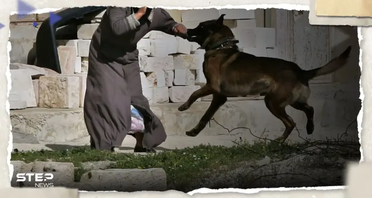 صحيفة عبرية تكشف: قوة إسرائيلية تُجبر 5 فلسطينيات على التعري تحت التهديد: أخبار