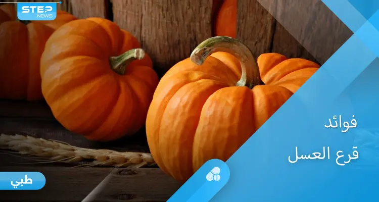 فوائد قرع العسل السحرية وقيمته الغذائية العالية إليك أهم المعلومات: أخبار