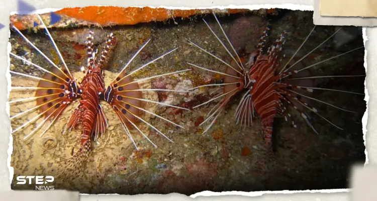 البشرية تواجه "آفة جديدة" يصعب السيطرة عليها وعلماء يتحدثون عن دخول الأرض بعصر "الأنثروبوسين": أخبار