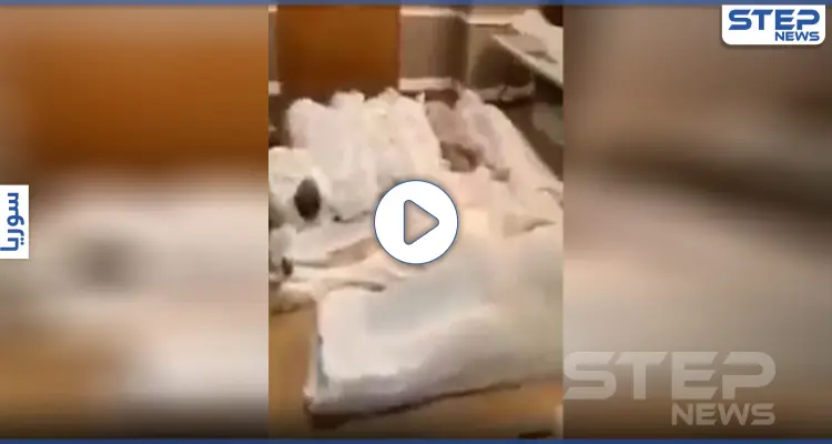 بالفيديو|| جثث متكدّسة ومتروكة.. عشرات الموتى من المسلمين جرّاء كورونا ينتظرون دفنهم بنيويورك: أخبار