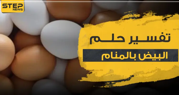 تفسير رؤيا البيض بالمنام.. دلالاته وجميع أوجهه: أخبار