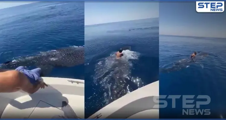 بالفيديو || سعودي يثير الدهشة.. قفز على ظهر حوت وامتطاه في عرض البحر: أخبار