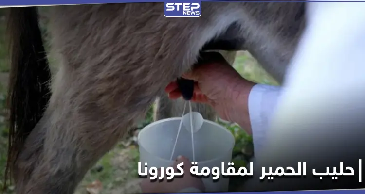 طريقة جديدة لمقاومة كورونا في ألبانيا .. باستخدام حليب الحمير: أخبار