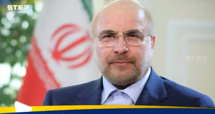 رئيس البرلمان الإيراني يوجه اتهاما خطيرا للوكالة الدولية للطاقة الذرية: أخبار