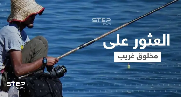 شاهد|| "تنين صغير".. صياد يعثر على مخلوق غريب يثير حيرة كل من يشاهده: أخبار