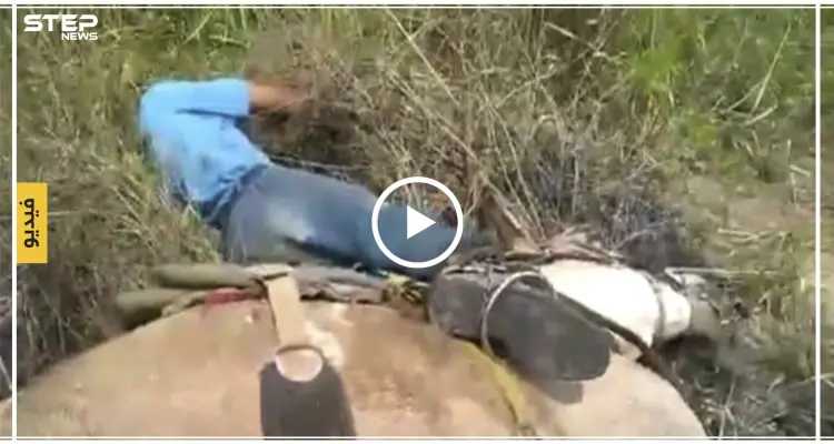 الأمطار الكهربائية تودي بحياة المواطنين و المواشي في البرازيل... ماذا تعرف عنها "فيديو": أخبار