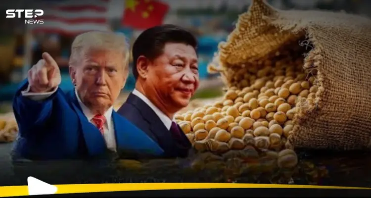 فول الصويا.. البذرة التي تُشعل حربًا جديدة بين الصين والولايات المتحدة: أخبار