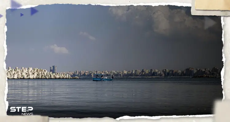 ظاهرة "غريبة" في مصر.. نفوق أسماك على شاطىء الإسكندرية "خوفاً من الصيادين": أخبار