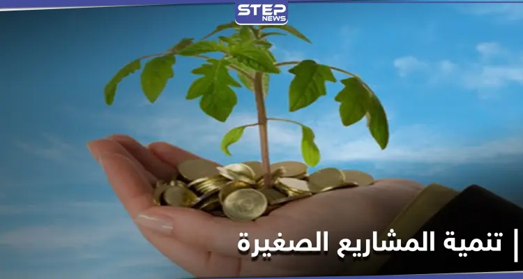 دولة عربية مرشحة للتقدم عالمياً في توطين شركات التكنولوجيا الناشئة: أخبار