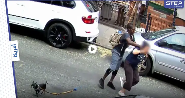 بالفيديو|| لص يهاجم فتاة وينزع عقدها بالقوة في وضح النهار والسلطات تطالب بمعلومات عنه: أخبار
