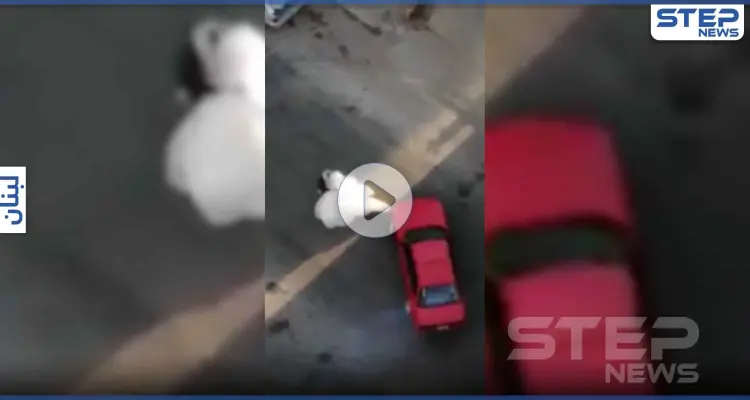 بالفيديو || عروسان في لبنان يحتفلان بزواجهما بطريقة فريدة من نوعها: أخبار