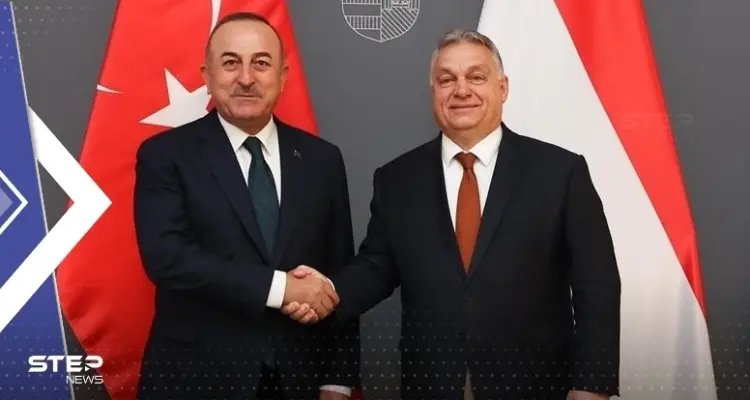 هنغاريا تتهم السويد بـ"الغباء".. وتركيا تكشف نقطة إيجابية لصالح انضمام فنلندا للناتو: أخبار