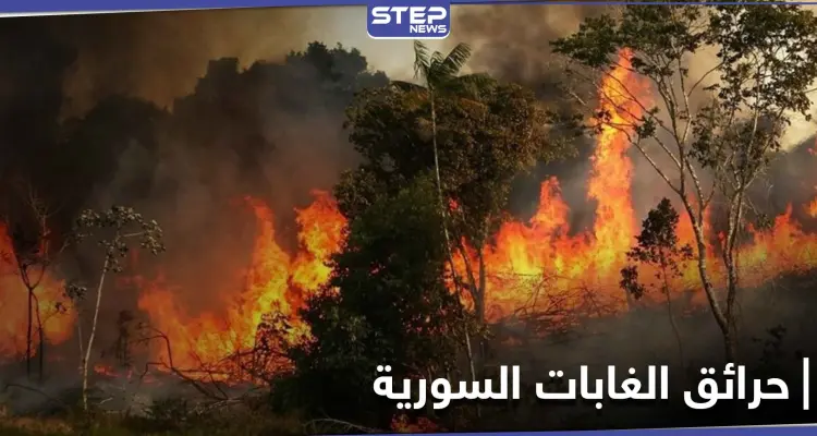 روسيا ترفض مساعدة النظام السوري لإخماد حرائق الغابات السورية والنيران تطال مواقع عسكرية: أخبار