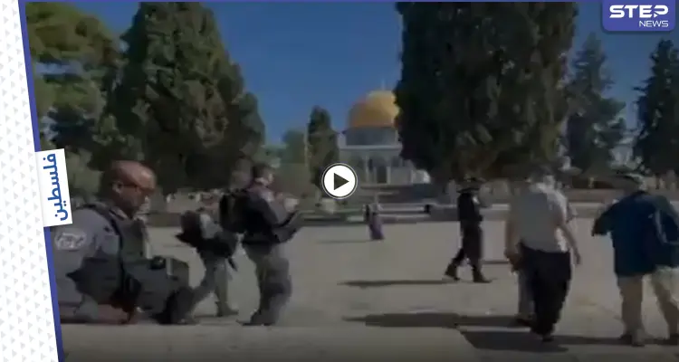 بعد دعوات لجمعة غضب.. جولات استفزازية ينفذها مستوطنون في باحات المسجد الأقصى (فيديو): أخبار