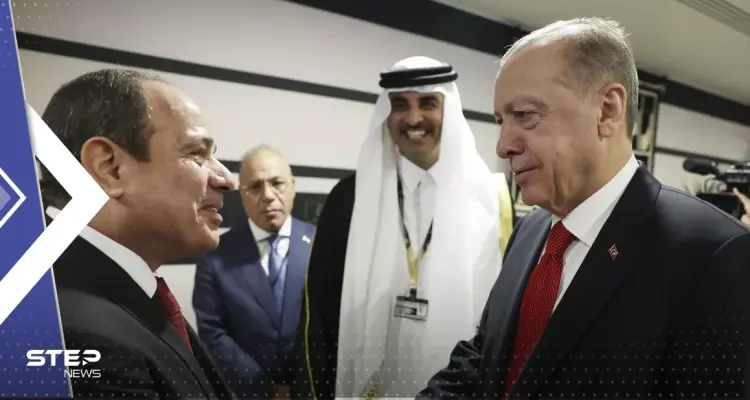 وزير الخارجية التركي يتحدث عن لقاء مرتقب بين أردوغان والسيسي: أخبار