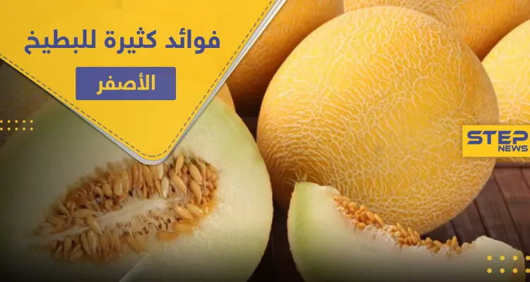 البطيخ الأصفر " الشمام" لصحة النظر والعظام وفوائد كثيرة لا تُحصى: أخبار