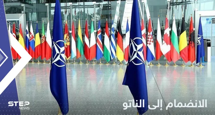 المجر تحسم موقفها من انضمام فنلندا والسويد إلى الناتو: أخبار