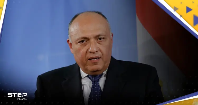 "كل الخيارات مفتوحة".. وزير الخارجية المصري يكشف سياسة مصر في ملف "سد النهضة": أخبار