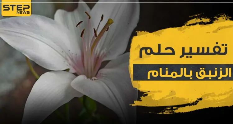 تفسير رؤية زنبق في الحلم والأزهار عموما لجميع أفراد العائلة: أخبار