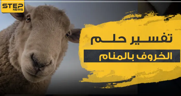 تفسير لحم الخروف بالمنام عند ابن سيرين لجميع أفراد العائلة: أخبار