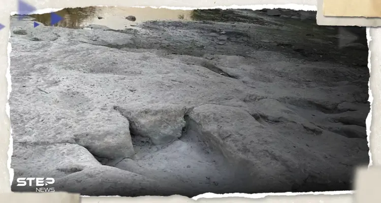 بفضل الجفاف.. اكتشاف أطول مسار للديناصورات في العالم: أخبار