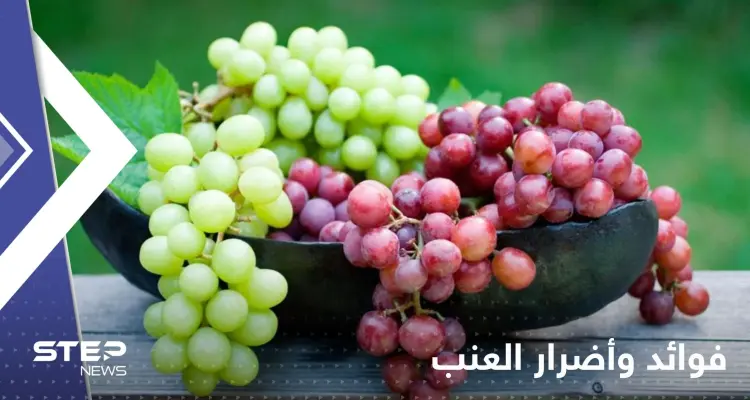 مع انتشار العنب بكثرة هذه الأوقات.. تعرف على الممنوعين من تناول تلك الفاكهة اللذيذة؟: أخبار