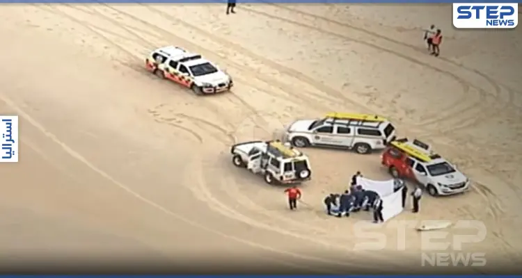 بالفيديو|| سمكة قرش تقتل راكب أمواج بطريقة متوحشة على شواطئ أستراليا.. والسلطات تستنفر: أخبار