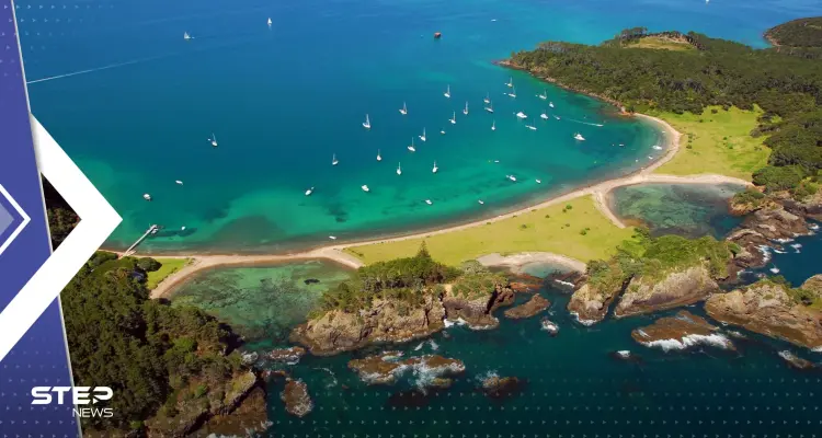 رسم أدق خريطة لـ"القارة الثامنة المفقودة" زيلانديا.. ماذا تعرف عنها (صور ): أخبار