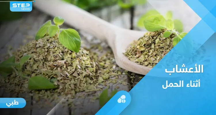 فوائد المردكوش والميرمية وهل هي آمنة للمرأة الحامل.. إليك أهم المعلومات: أخبار