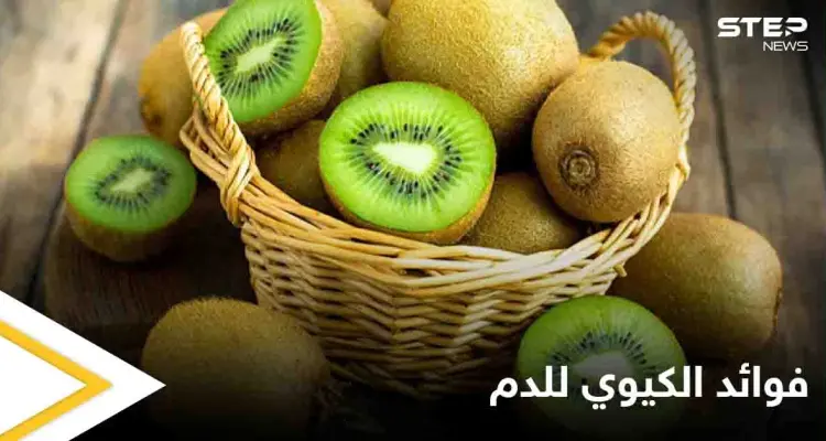 تعرف على فوائد الكيوي للدم ودوره في الحماية من أمراض عدة: أخبار