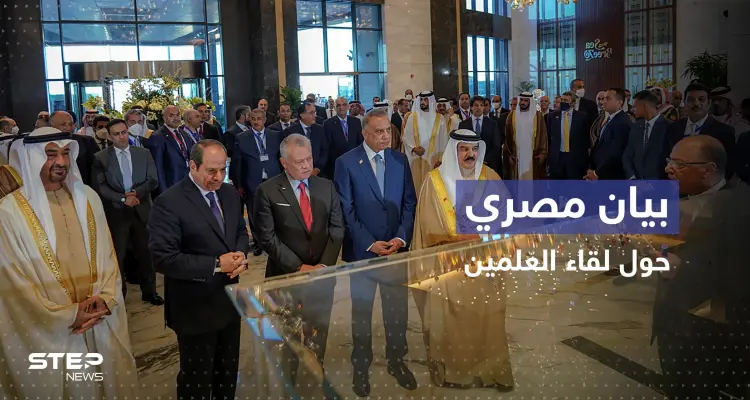 الرئاسة المصرية تكشف كواليس مباحثات قمة العلمين: أخبار