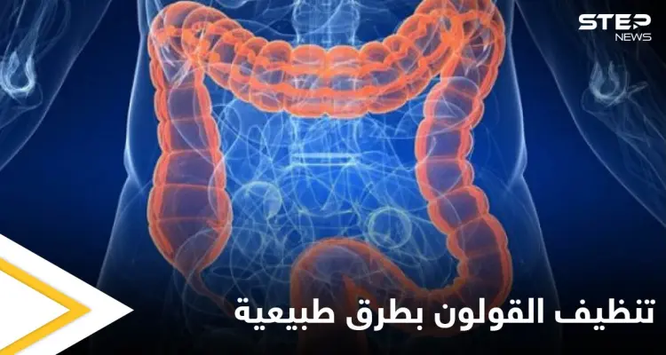 تنظيف القولون بطرق طبيعية وفوائد صحية لا تحصى بعد تنظيفه إليك أهمها: أخبار
