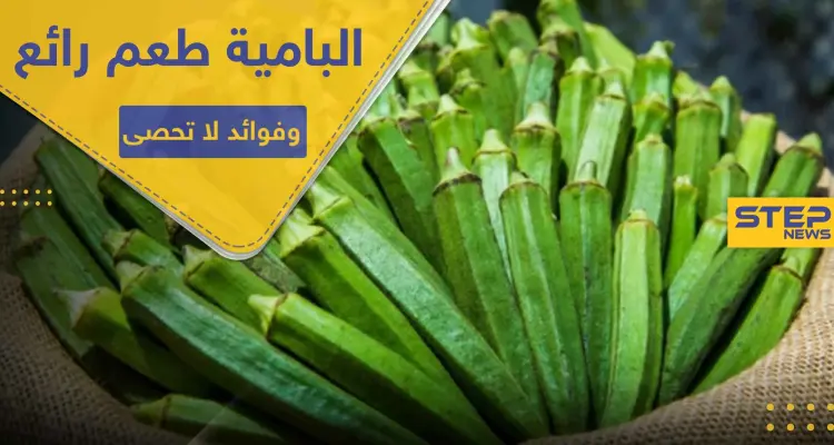 غير مذاقها الرائع.. هناك 10 فوائد للبامية أهمها تنظيف الرئتين وضبط السكر..: أخبار