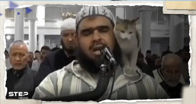 دار الإفتاء الروسية تعلق على حادثة الإمام الجزائري والقطة.. ماذا قالت: أخبار