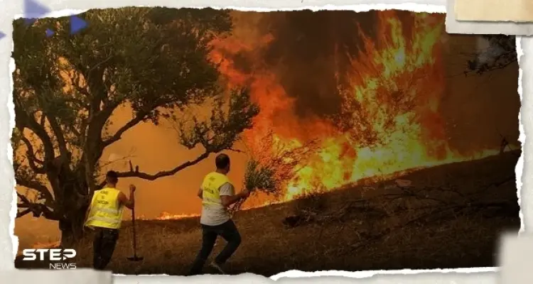 الدرك الوطني الجزائري يعتقل المتسبب في حرائق عش الباز بولاية بجاية: أخبار