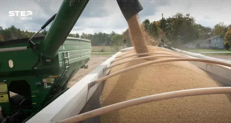 الغذاء والوقود.. جبهة الحرب الاقتصادية الجديدة بين واشنطن وبكين: أخبار