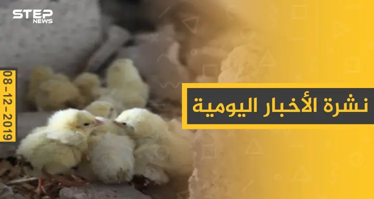 نشرة الأخبار اليومية  – الأحد 08 - 12 - 2019: أخبار
