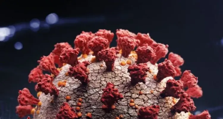 علماء ينشرون أول صورة كبيرة لمتحور أوميكرون بعد عزله: أخبار