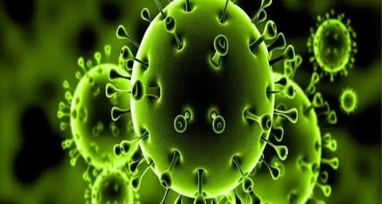 الصحة العالمية تتحدث عن مخاوف انتشار أكبر لكورونا في منطقتين خلال رمضان.. ومصر تحذر من دخول البلاد الموجة الثالثة: أخبار