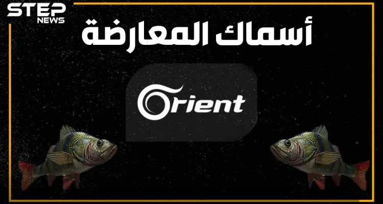 قناة أورينت تحرز ذهبية تبديل المواقف.. و"الجيش الوطني" يتبرأ من نفسه: أخبار